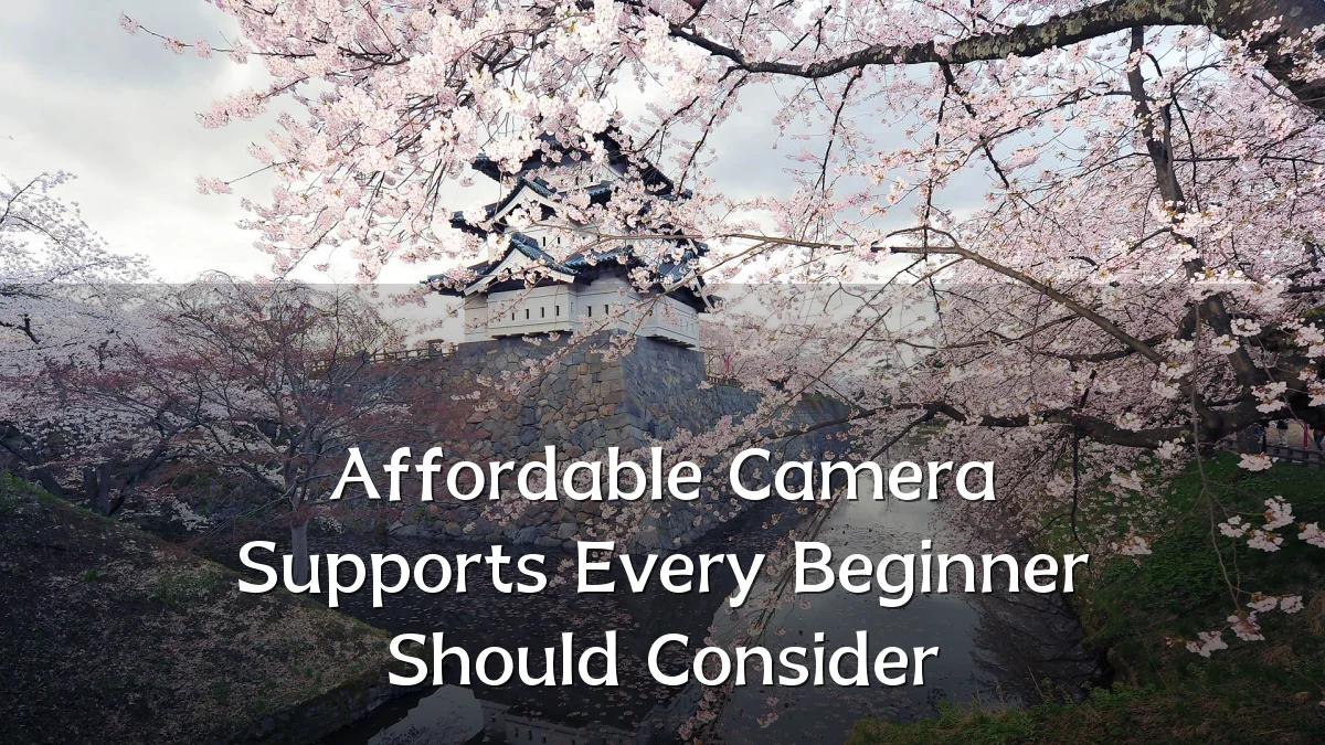 Affordable Camera Supports Every Beginner Should Consider