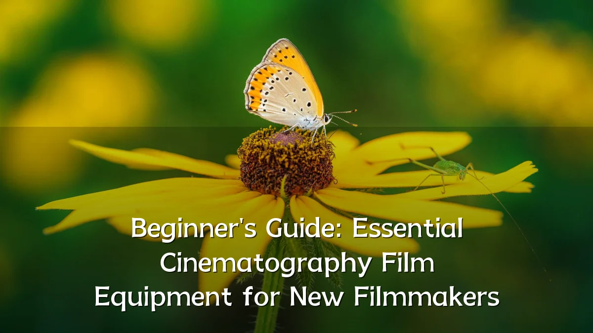 Beginner's Guide: Essential Cinematography Film Equipment for New Filmmakers