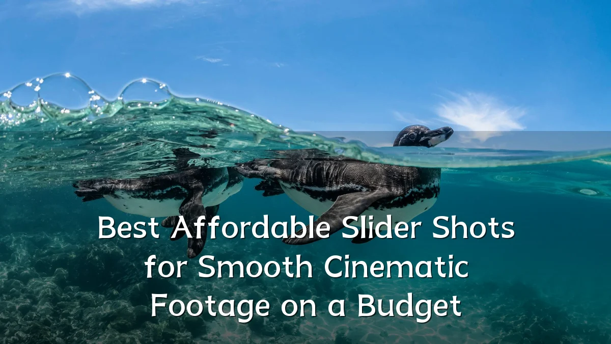 Best Affordable Slider Shots for Smooth Cinematic Footage on a Budget
