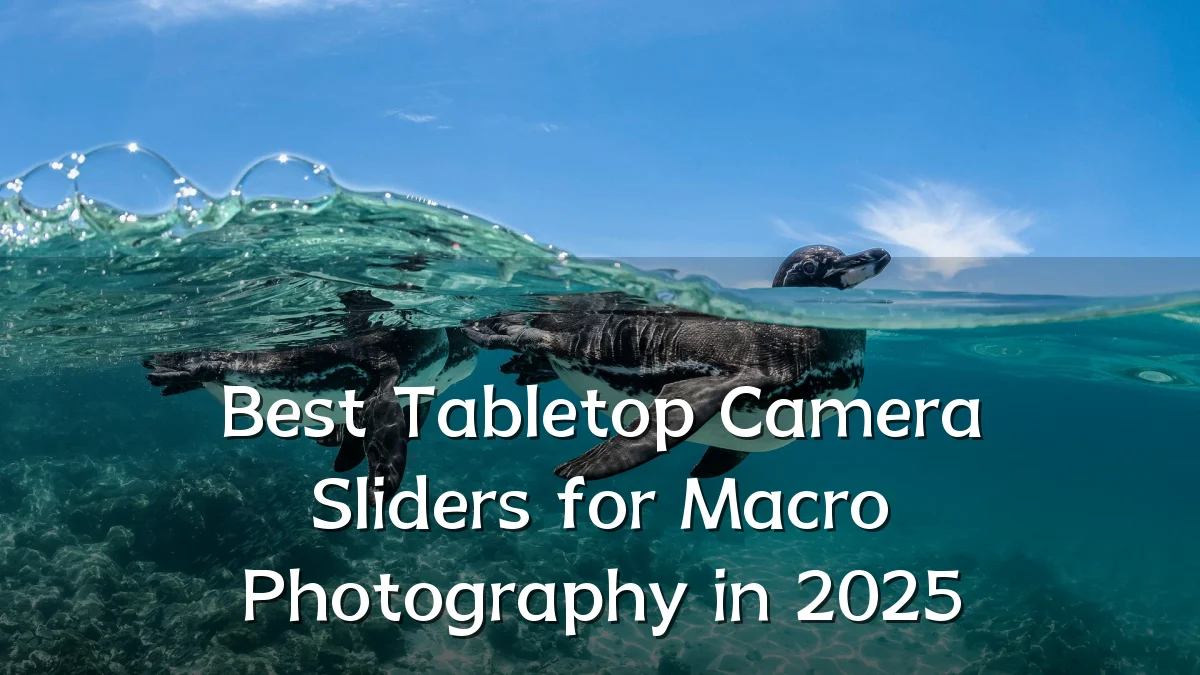 Best Tabletop Camera Sliders for Macro Photography in 2025