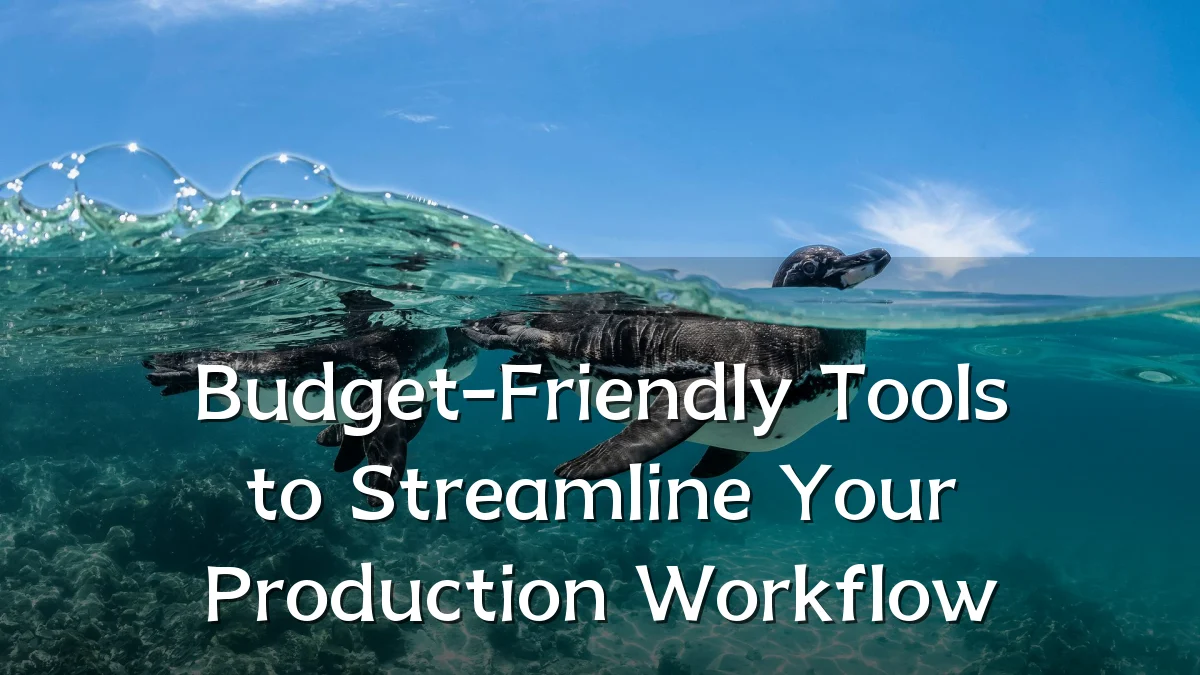 Budget-Friendly Tools to Streamline Your Production Workflow
