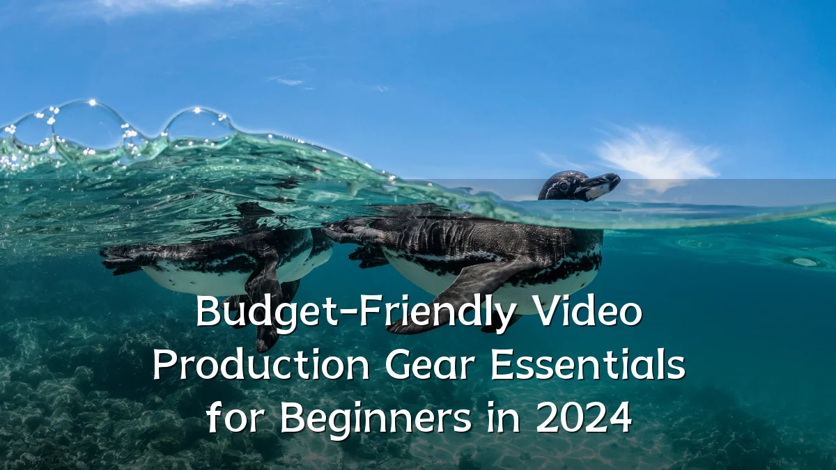 Budget-Friendly Video Production Gear Essentials for Beginners in 2024
