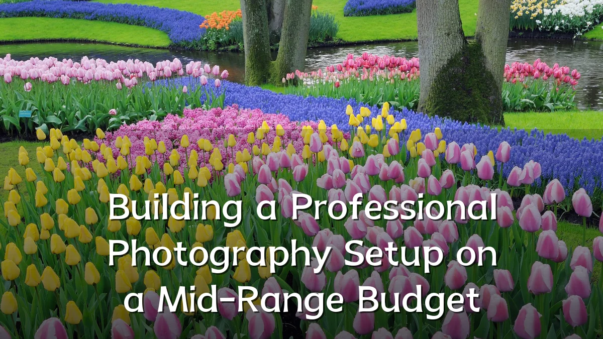 Building a Professional Photography Setup on a Mid-Range Budget
