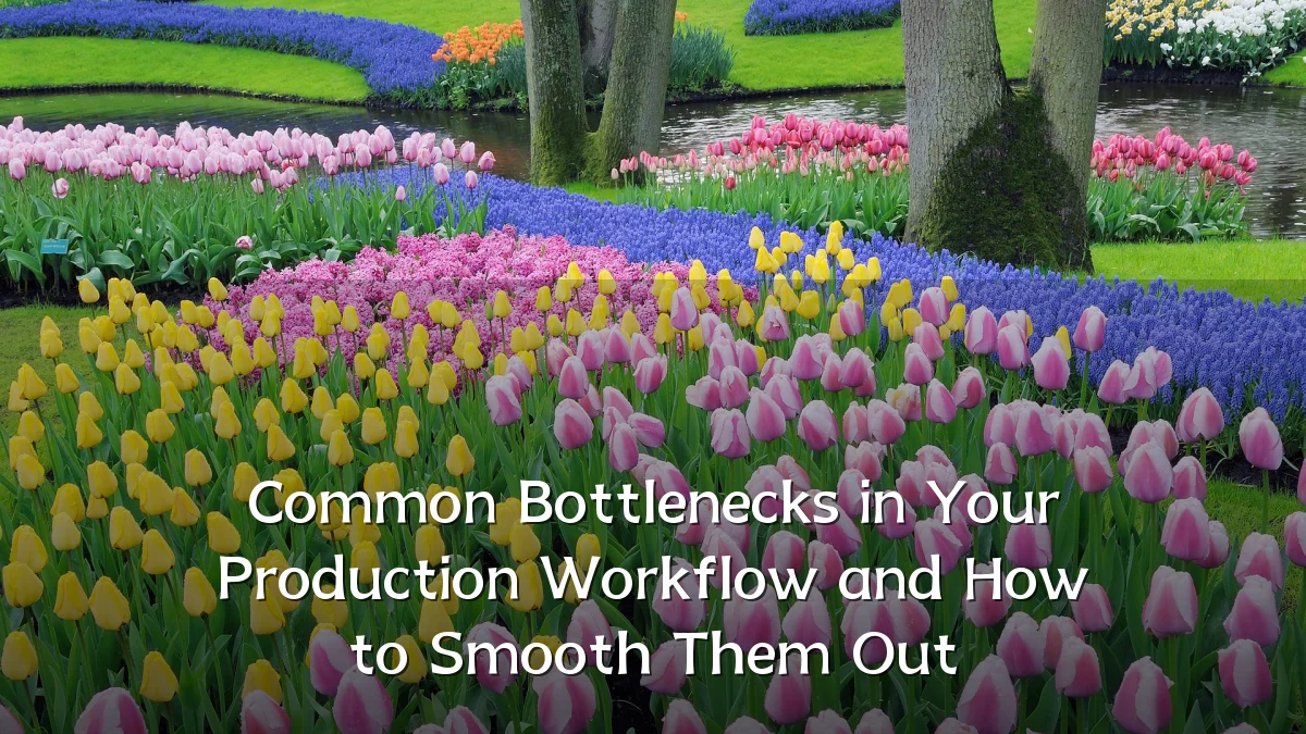 Common Bottlenecks in Your Production Workflow and How to Smooth Them Out