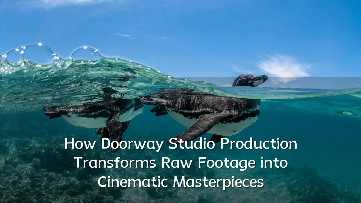 How Doorway Studio Production Transforms Raw Footage into Cinematic Masterpieces