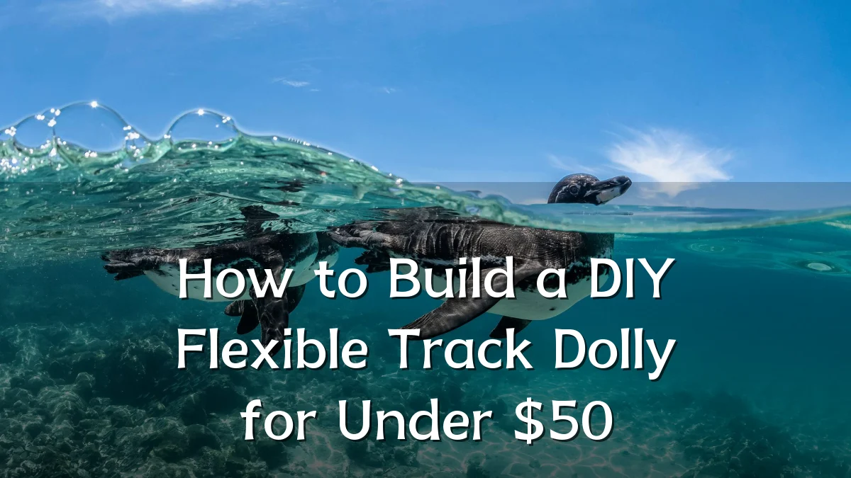 How to Build a DIY Flexible Track Dolly for Under $50
