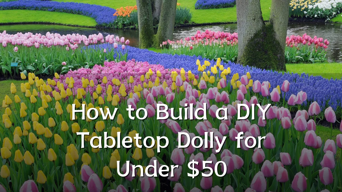 How to Build a DIY Tabletop Dolly for Under $50