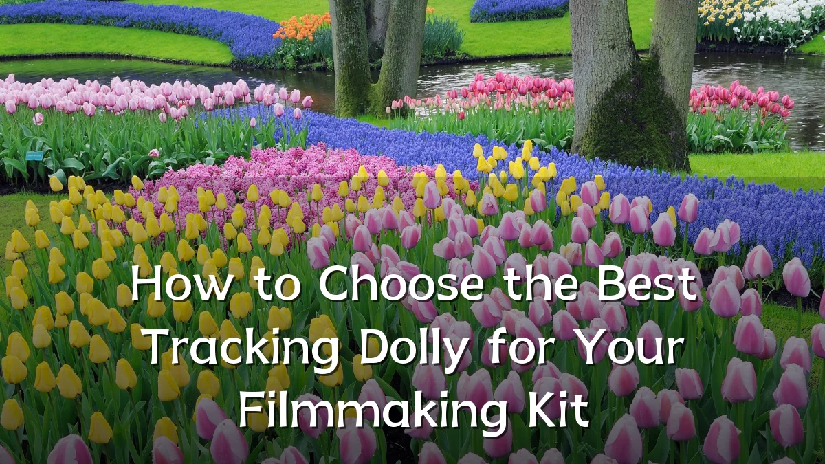 How to Choose the Best Tracking Dolly for Your Filmmaking Kit