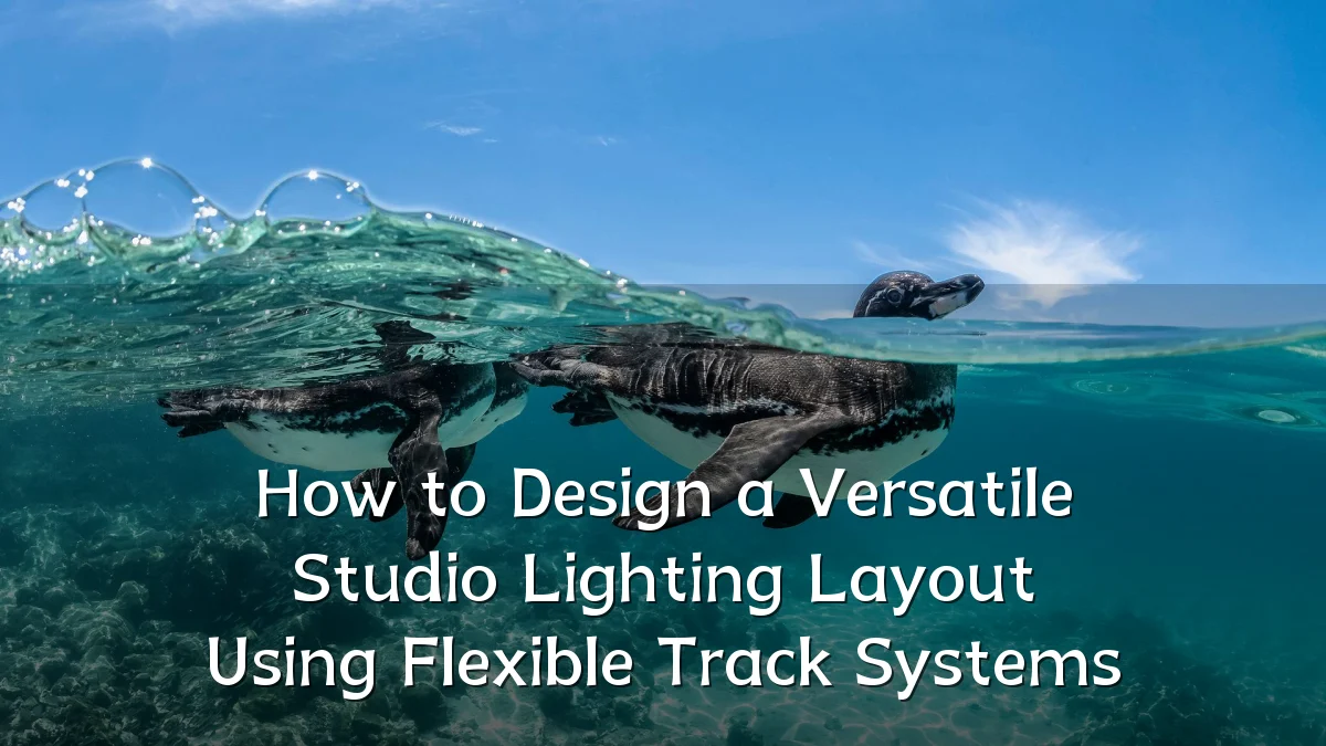 How to Design a Versatile Studio Lighting Layout Using Flexible Track Systems