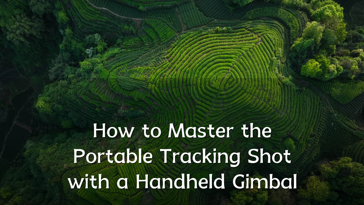 How to Master the Portable Tracking Shot with a Handheld Gimbal