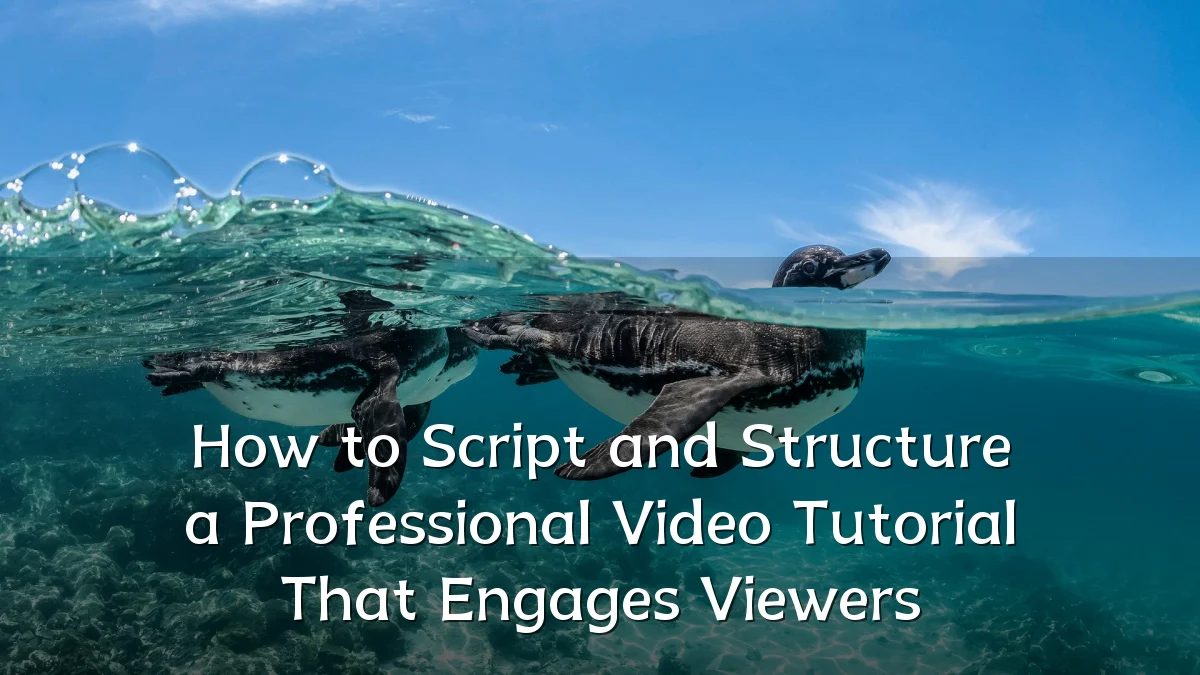 How to Script and Structure a Professional Video Tutorial That Engages Viewers