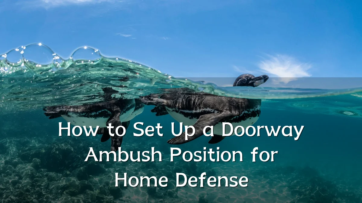 How to Set Up a Doorway Ambush Position for Home Defense