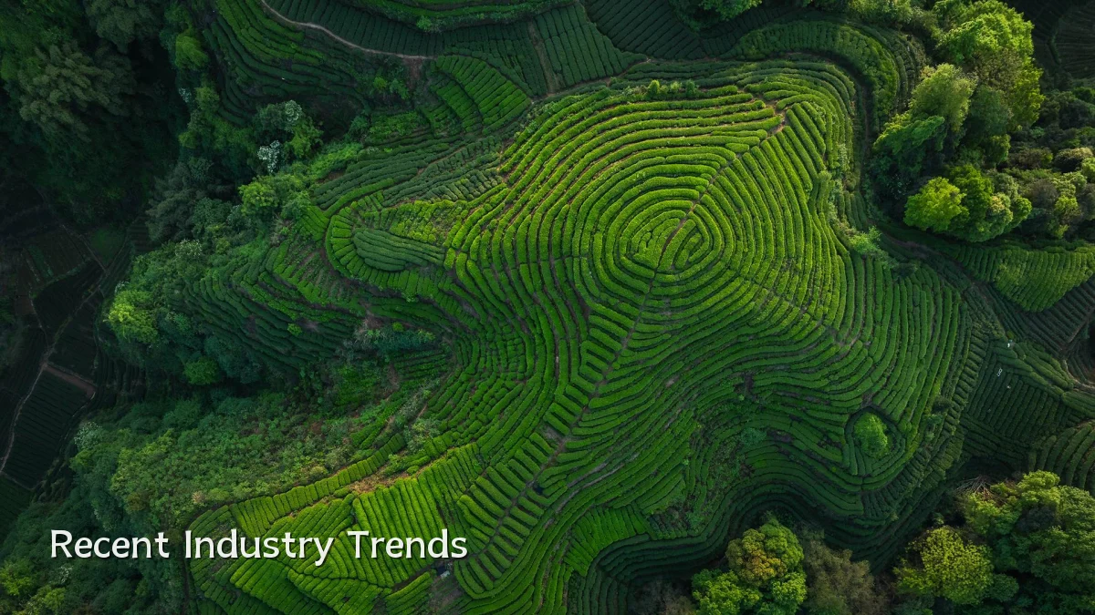 Recent Industry Trends