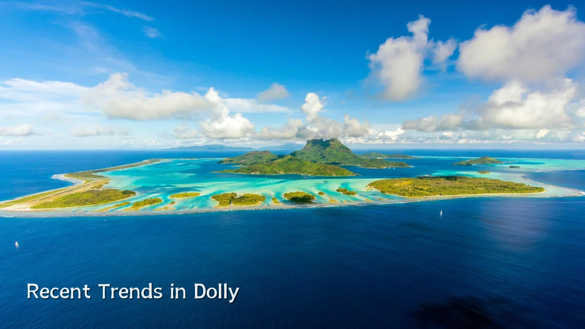 Recent Trends in Dolly