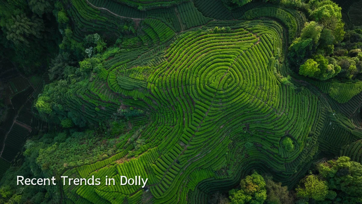 Recent Trends in Dolly