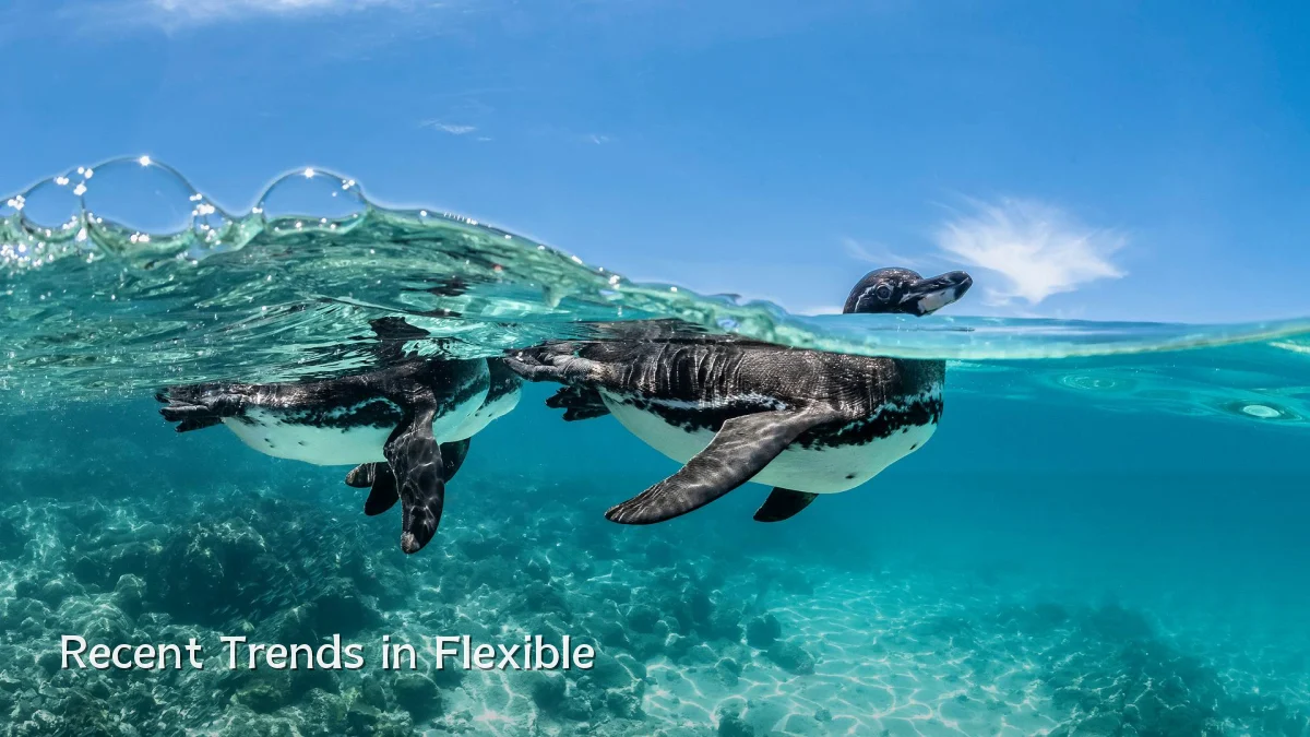 Recent Trends in Flexible