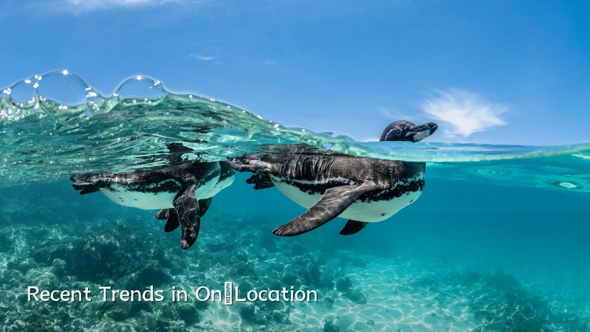 Recent Trends in On‑Location