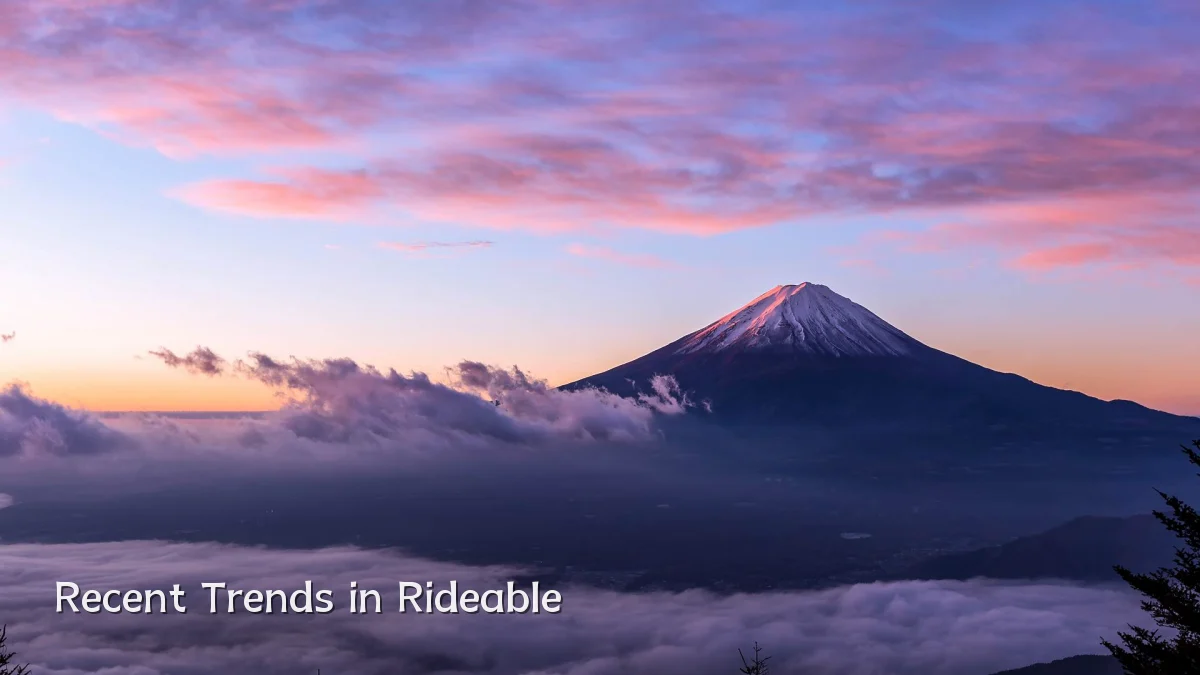 Recent Trends in Rideable