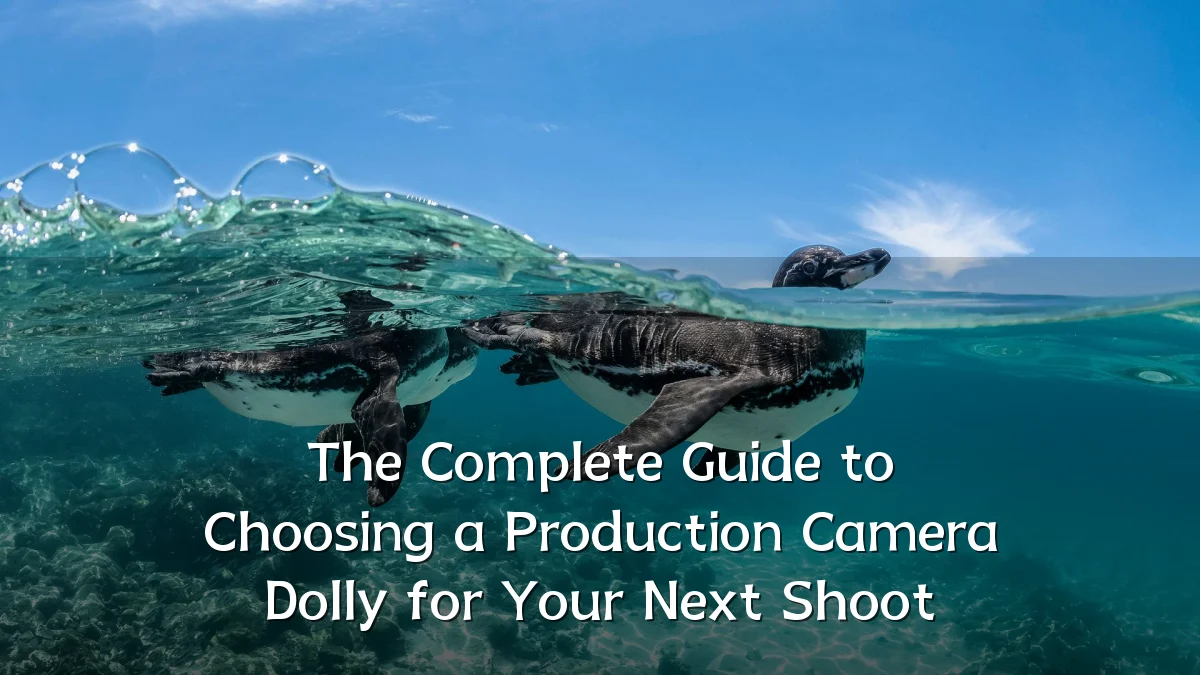 The Complete Guide to Choosing a Production Camera Dolly for Your Next Shoot