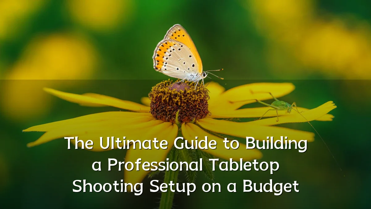 The Ultimate Guide to Building a Professional Tabletop Shooting Setup on a Budget
