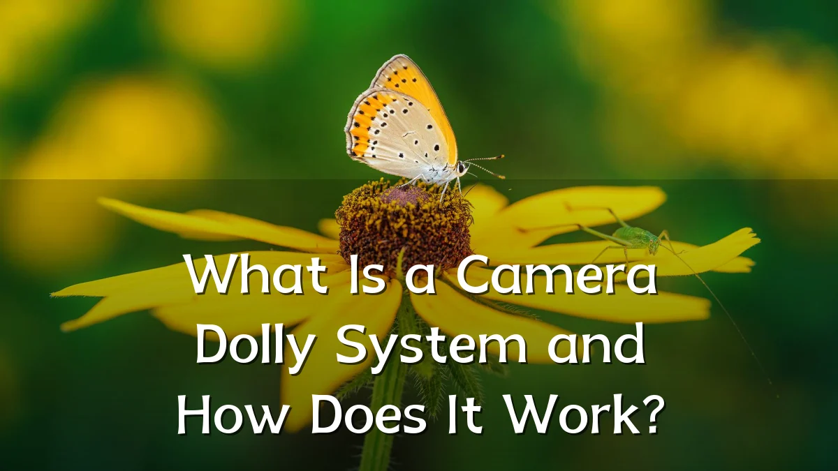 What Is a Camera Dolly System and How Does It Work?